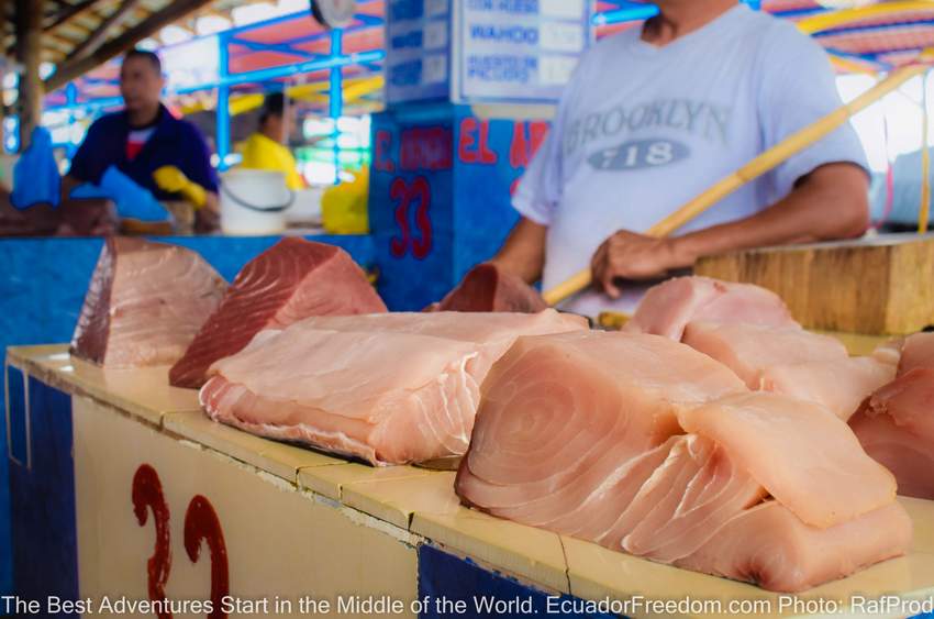 fresh tuna at manta fish market in ecuador