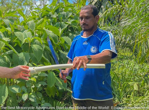 heart of palm farmer 600x446