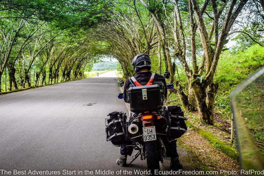 motorcyclist stopped under acacia trees in ecuador