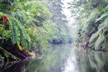 Canoe Ride in the Amazon