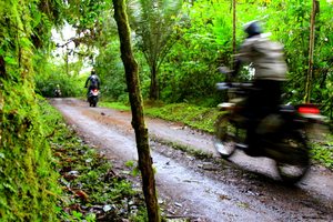 septimo_paraiso_cloudforest_reserve