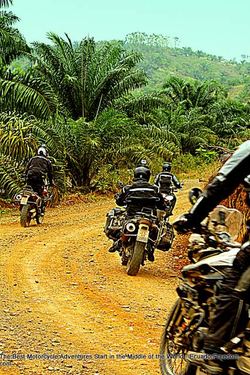 dirt road through palms